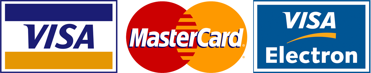 pago seguro con visa